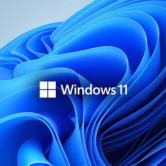 Windows 11